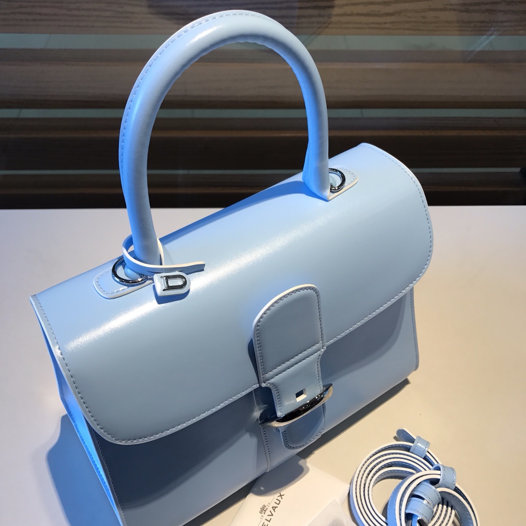 델보 브리앙 박스백 미듐